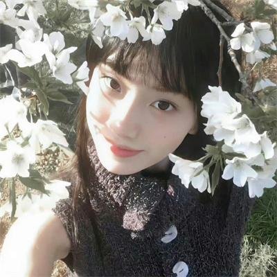 狐之歌
